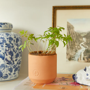 Vente directe Kits de jardin <span class=keywords><strong>en</strong></span> terre cuite Design champêtre de style animal pour la pépinière extérieure comprend un <span class=keywords><strong>pot</strong></span> de filet de sol de bureau gratuit - Product Image 3