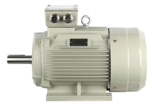 Motor Eléctrico Asíncrono Trifásico de Alta Eficiencia Serie IE2, 37KW, 2 Polos, Carcasa de Hierro/Aluminio, Cable de Cobre, 380V, 50/60Hz - Product Image 2
