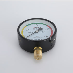 0-1.6MPa 범위의 Wanxing Y100 황동 100mm 압력 게이지 - Product Image 2