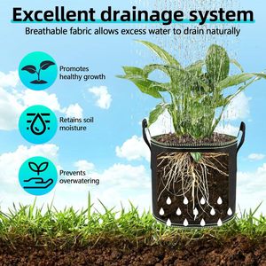 Sacs de plantation en tissu non tissé noir pour café et <span class=keywords><strong>vert</strong></span>, personnalisés, 1, 3, 5, 7, 10, 15, 20 gallons, tissu en feutre épaissi, sacs de culture - Product Image 6