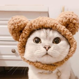<span class=keywords><strong>Disfraz</strong></span> <span class=keywords><strong>de</strong></span> Invierno para Gatos, Gorro <span class=keywords><strong>de</strong></span> Oso Cálido y Ajustable, Gorro Suave para Mascotas Pequeñas, Gorro Cálido <span class=keywords><strong>de</strong></span> Invierno para Gatos, Cachorros y Gatitos - Product Image 4