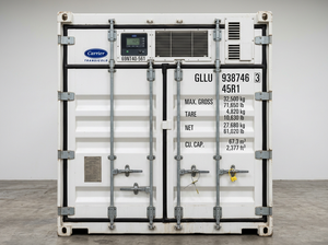 Conteneur frigorifique portable sur mesure de 10/20 pieds - Chambre froide mobile robuste pour fruits, légumes et fruits de mer - Product Image 5