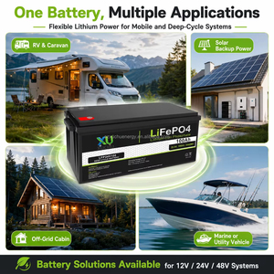 Batterie LiFePO4 25,6 V 100 Ah 2,56 kWh, remplacement pour batteries au plomb-acide pour système solaire de camping-car et alimentation de secours, protégée par BMS, 6000 cycles - Product Image 1
