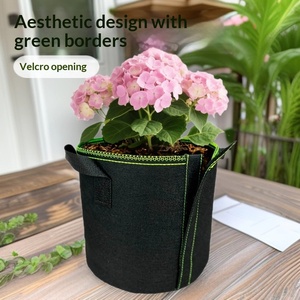 Sac de plantation biodégradable et respirant à bordure verte avec bande adhésive latérale pour la croissance des semis et des jeunes arbres - Product Image 3
