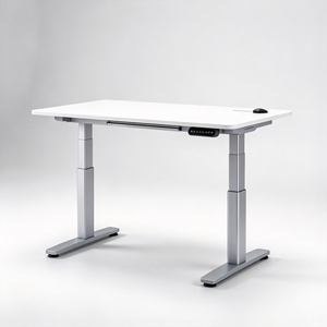 Bureau debout électrique réglable en hauteur, table de bureau en fer, poste de travail autoportant moderne pour usage domestique, bureau et commercial - Product Image 2