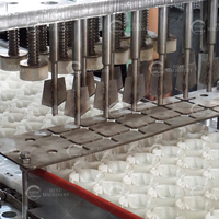 Industriële Abrikozenfruitzaadverwijderingsmachine Abrikozenzaad-Pitter Commerciële Abrikozenfruitkern-Scheidingsmachine