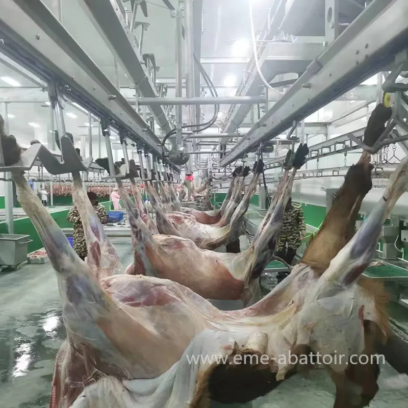 Maquinaria de matadero de ganado, canal de sangre para matadero completo de carne, equipo de carnicero