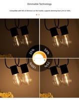 Ampoule LED à filament Edison Huaqiandeng S14, culot E27, étanche, économe en énergie, lumière chaude pour la décoration de lieux et de festivals
