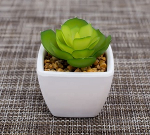 Barato de la fábrica al por mayor mini <span class=keywords><strong>cactus</strong></span> surtido interior decorativo artificial plantas suculentas macetas para laventa - Product Image 4