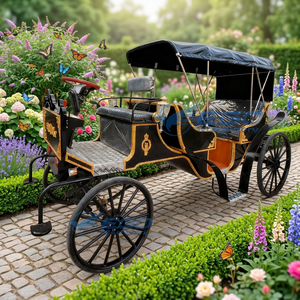 Carruajes de Caballos Europeos Negros Personalizados para Turismo y Eventos, Doble Fila, Elegantes Carruajes Tirados por Caballos para Bodas - Product Image 1