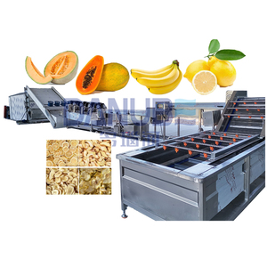 Machine industrielle à vapeur pour sécher, trancher et déshydrater les fruits (melon, citron, papaye, banane) - Usine de séchage de fruits - Product Image 1