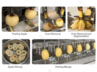 Industriële hoogcapaciteits automatische elektrische machine voor het continu schillen en ontpitten van fruit (appels, aardappelen etc.) van voedingskwaliteit