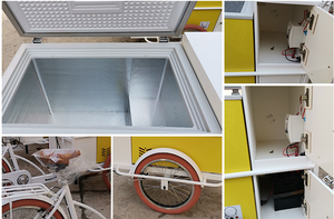 Tricycle électrique personnalisé avec congélateur, vélo électrique, 10 pouces, Street, alimentation, réfrigérateur - Product Image 6
