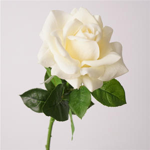 بيع بالجملة قطع مركزية عالية الجودة بلمسة حقيقية زهور صناعية ورود لاتكس لتزيين الزفاف - Product Image 6