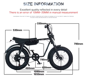 Bicicletta Elettrica 750W 48V 13AH con Pneumatici Larghi per Montagna e Strada, Disponibile <span class=keywords><strong>in</strong></span> Magazzino USA - Product Image 5