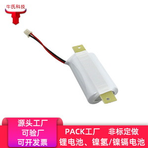 แบตเตอรี่ Ni-Cd 12V 4000mAh 6000mAh แบบชาร์จได้สำหรับไฟฉุกเฉินและไฟฉาย - Product Image 2