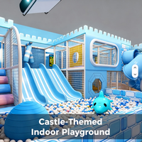 Aire de jeux intérieure sur le thème du château commercial, parc d'attractions sur le thème de l'océan, équipement de jeux souples pour enfants, centre de jeux