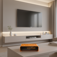 Récepteur satellite TV DVB-S2 Lnb HD avec 12 mois de chaînes IP TV gratuites, H.264 Cc Cam Iks Support USB Wi-Fi/LAN Dongle