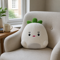 Bantal Anime Bentuk Tidak Beraturan Custom Made, Bantal Plush untuk Dekorasi Rumah CE MOQ Rendah OEM