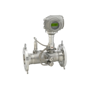 Débitmètre ultrasonique E+H Série 9I4BA1 9P5BA2 9P5BA0 9W4BA2 - Product Image 1