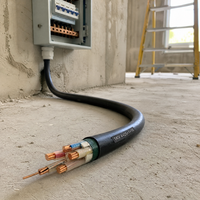 Câble d'alimentation ignifuge CU/XLPE/PVC 0,6/1 kV pour système de distribution d'énergie en salle blanche d'usine d'écrans LCD