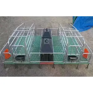 high quality farrowing pen crates pig farrowing for sow accessories for gestation pen farrowing crate