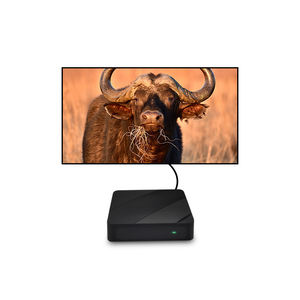 Décodeur IPTV Compact sous Linux, H.265/HEVC, Stalker/Ministra - OEM/ODM, HD 1080p (Modèle ERI-IPTV004) - Product Image 6