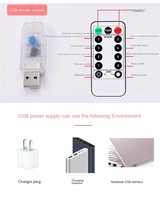 Guirlande lumineuse LED en cuivre à télécommande USB rechargeable 3*3m pour rideaux et fenêtres, intensité variable, avec crochet, IP44, décoration de Noël