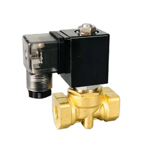 SLP 2 vie pilota azionato solenoide in ottone valvola acqua piccolo orifizio 10mm