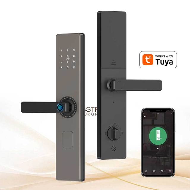Eseye TUYA WIFI Electronic Fingerprint Lock Remote Unlock Digital Card Key Cerradura Intelligente Ttlock Smart Door Lock