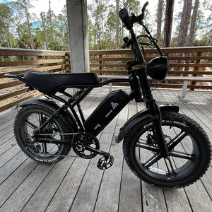 Vélo électrique de ville Saibaike R002, <span class=keywords><strong>prix</strong></span> abordable, 20 pouces, 250W, 48V, 15AH, Shimano 7 vitesses, vélo électrique de ville à pneus larges - Product Image 1