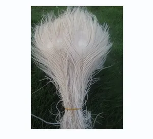 美丽的白色孔雀眼羽毛25-30厘米装饰庆典