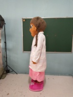 Costume de mascotte promotionnel CE pour adulte Doc McStuffins, costumes de mascotte d'occasion à vendre