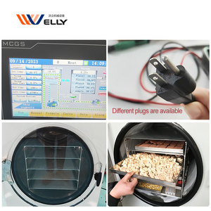 Máquina de Liofilización de Fácil Operación para Productos Liofilizados de Okra, Berenjena y Champiñones - Product Image 5