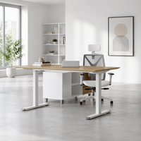 Bureau debout ergonomique moderne à hauteur réglable avec cadre électrique assis-debout à moteur simple/double
