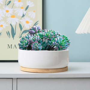 Pot de fleurs rond en céramique minimaliste moderne, grande taille, blanc, pour plantes vertes, bonsaï, avec trou de drainage, pour la maison, le bureau ou le jardin - Product Image 2