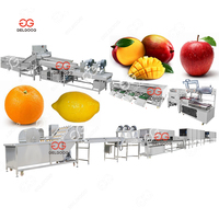 Fruit Groente Wassen Schilmachine Pitaya Dragon Fruit Waslijn Sorteren Fruit Wassen Sorteren Waxen Productielijn