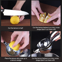 Allnice Presse-agrumes manuel en acier inoxydable de qualité supérieure Presse-agrumes Bol à fruits et légumes Outil portable
