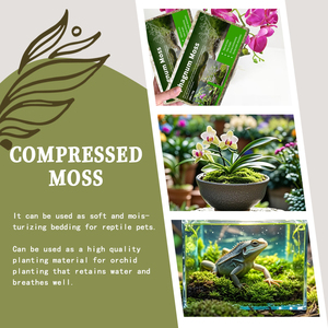 Mousse de sphaigne comprimée de haute qualité pour la croissance <span class=keywords><strong>des</strong></span> plantes de substrat de reptile et le jardinage 100g 200g 500g1kg 5kg10kg - Product Image 6