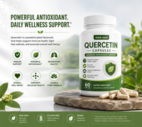ODM OEM Vente en gros Quercétine certifiée Halal Haute Pureté 500mg Capsules Antioxydant Naturel Soutien Immunitaire et Respiratoire 60/90/120