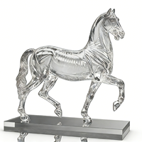 Offre Spéciale : Sculpture de Cheval en Résine Transparente HD à Forme Réaliste avec Squelette, Dégradé de Couleurs, pour Décoration Intérieure et Cadeaux