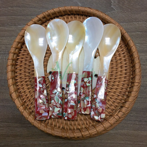 Mélange de cuillères en nacre blanche poignée colorée cuillère à caviar coquillage serveur de caviar disponible design moderne taille 10-12cm - Product Image 1