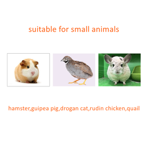 <span class=keywords><strong>Cage</strong></span> d'élevage pour animaux de compagnie en bois et métal avec fenêtre transparente et échelle, motif solide, pour hamster, cobaye, dragon, chat, poulet - Product Image 6