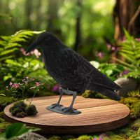 Leurre réaliste bon marché avec de grands détails leurres de corbeau floqués éloignent les oiseaux pour la chasse au corbeau