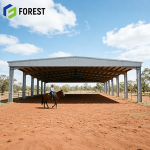 Estructura de Acero de Gran Envergadura (70x150 pies) para Pista de Equitación, Construcción Avanzada y Rentable, con Precio Directo de Fábrica - Product Image 1