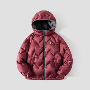 Vestes d'hiver légères pour enfants fabriquées en usine avec capuche personnalisée, color-block, triple protection, pour garçons - Product Image 2