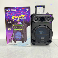 Enceintes de fête sans fil TWS NDR-M081 8 pouces rechargeables RGB 40W avec prise en charge USB, TF, BT, TWS, FM pour Karaoké