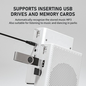 Portatile senza fili per Bluetooth Mini amplificatore auricolare con microfono per <span class=keywords><strong>docenti</strong></span> guide turistiche <span class=keywords><strong>insegnanti</strong></span> istruttori sportivi - Product Image 6