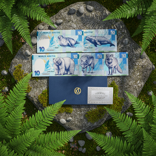 Bulk Items Wholesale Lots Custom Polymer Banknotes Arctic Animals Collectible Cards fox Polar Bear Silver Foil Banknotes