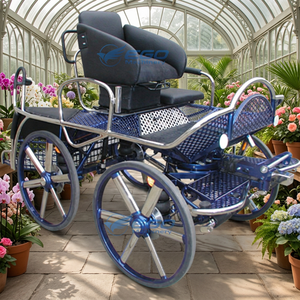 Mini-voiturette bleue à quatre roues pour concours et visites touristiques, tirée par des chevaux - Product Image 1